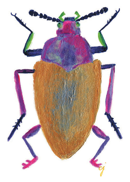 Purple metallic rainforest beetle