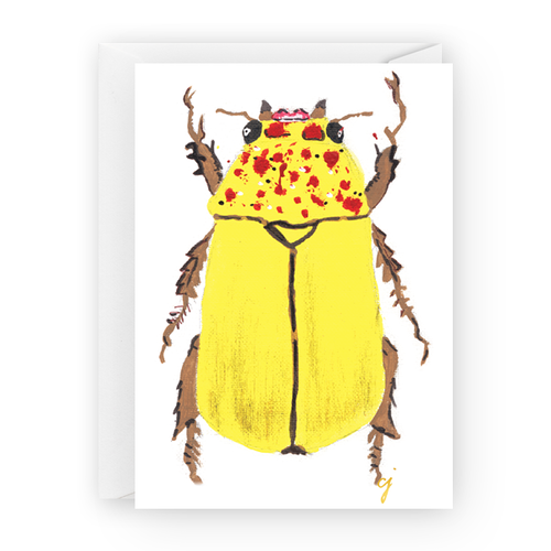 Yellow rainforest beetle