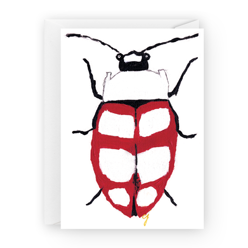 Red and white rainforest beetle